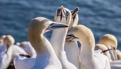 数字资产是基于互联网什么技术的新发明？