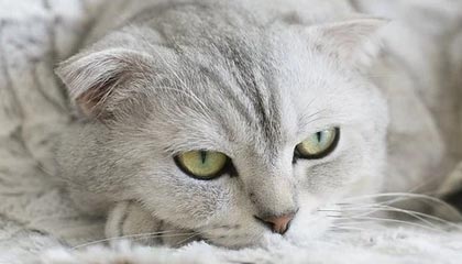 INE·区块链资讯 | 4月8号 星期一