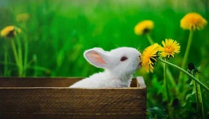 INE·区块链资讯 | 4月10号 星期三