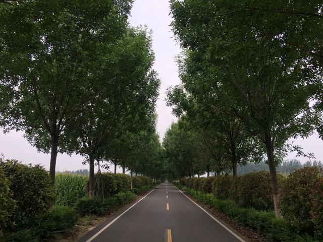 有没有被诈骗钱财的真实经历分享一下<strong></p>
<p>币安交易注册</strong>？