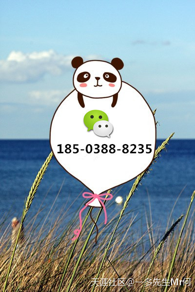 区块链项目（虚拟币、数字货币交易所、虚拟矿机...）系统专业开发(转载)