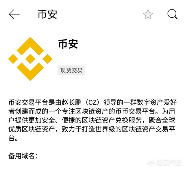 币安是一家什么样的公司<strong></p>
<p>币安交易所</strong>？
