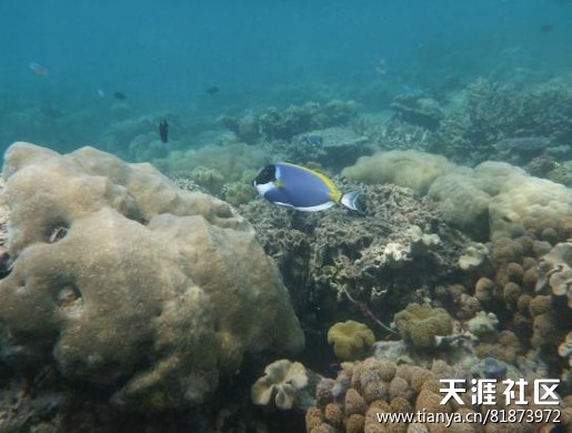 美丽的伊鲁韦利蜜月游