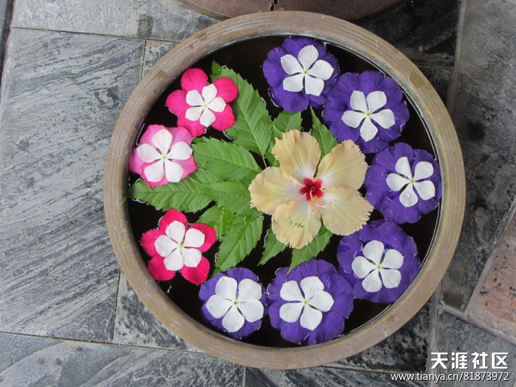 美丽的伊鲁韦利蜜月游