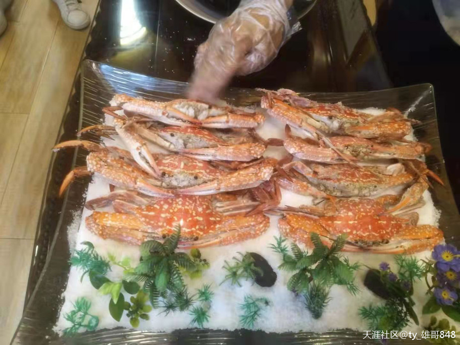 北海餐饮界大师黄志雄制作的疍家美食菜品在央视亮相受到欢迎