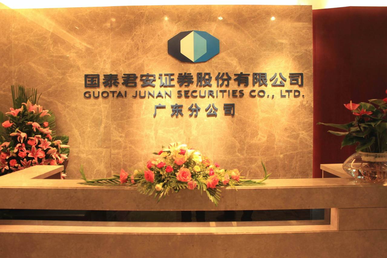 公司证券户(公司证券户怎么查帐)