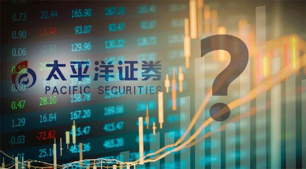 太平洋证券公司(上海太平洋证券公司)