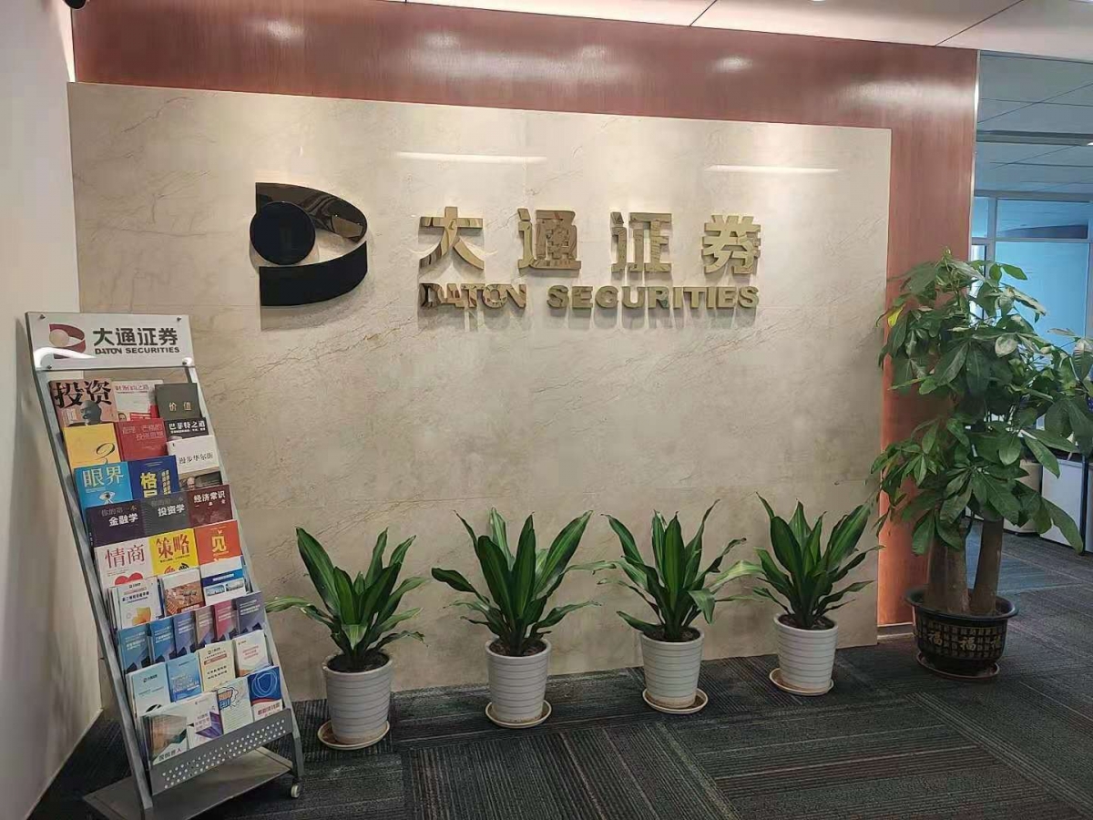 大通证券了(大通证券好不好)
