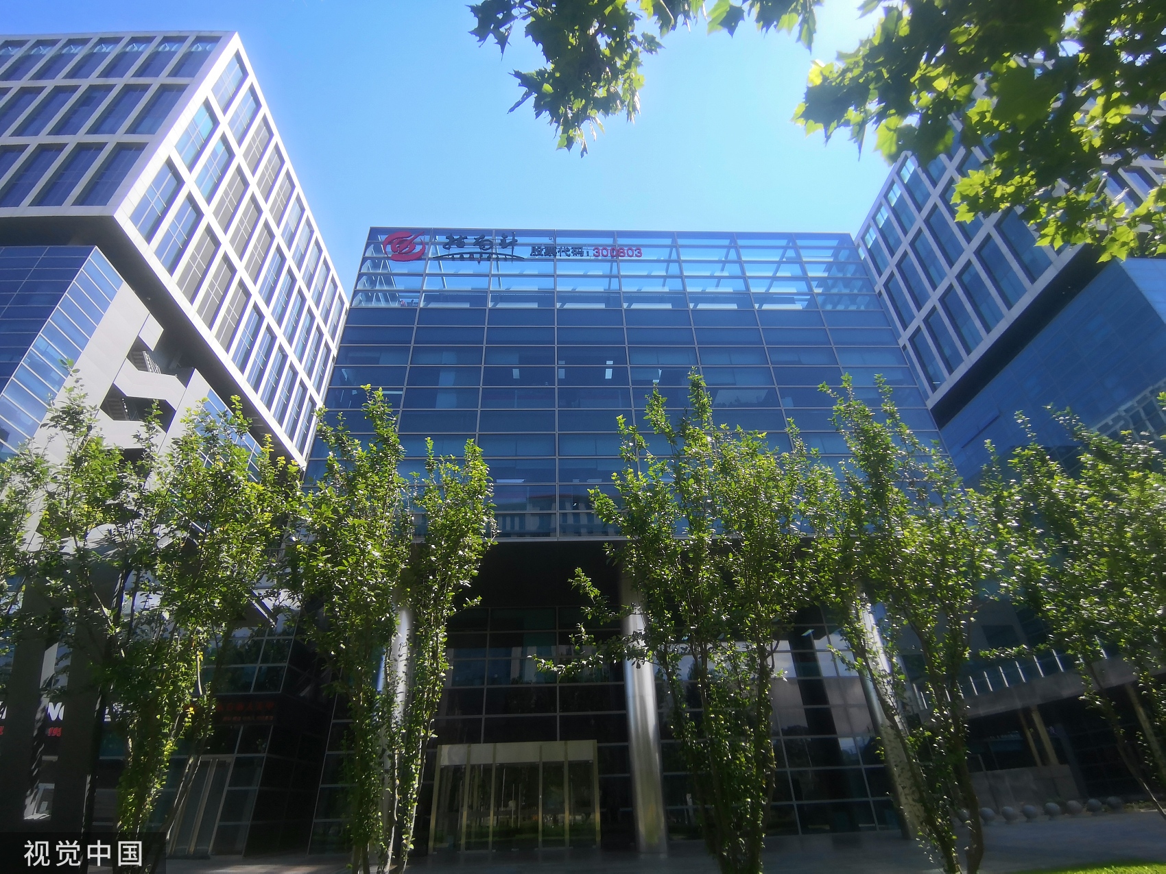 网信证券官网(网信证券官网app下载安卓)