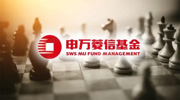 申万宏证券(申万宏证券营业厅地址)