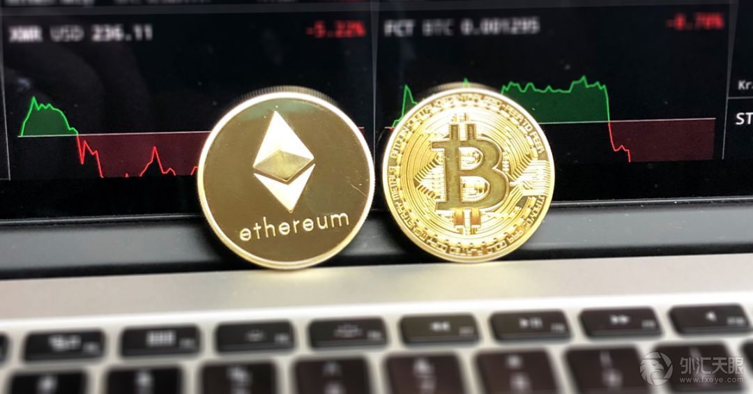 币龙网(币龙网交易骗局)