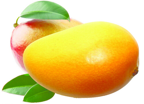 MangoPro的简单介绍
