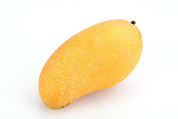 包含MangoPro的词条