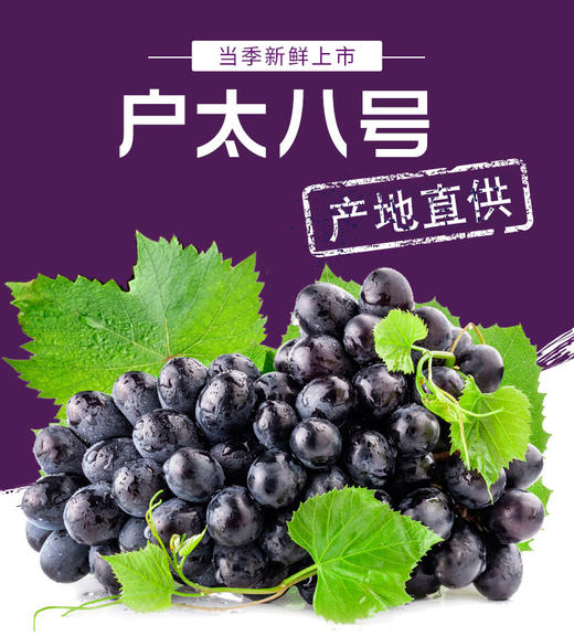 TAB葡萄(TAB葡萄交易所是否合法)