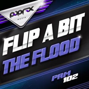 BitFlip(bitflip原理)