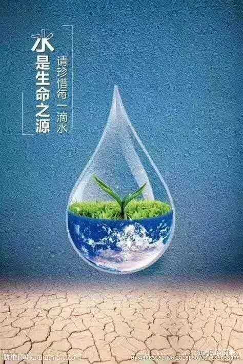 水币(水印相机免费下载)