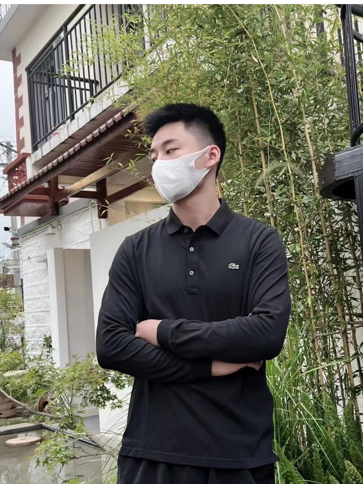 Gmex(高马二溪黑茶)