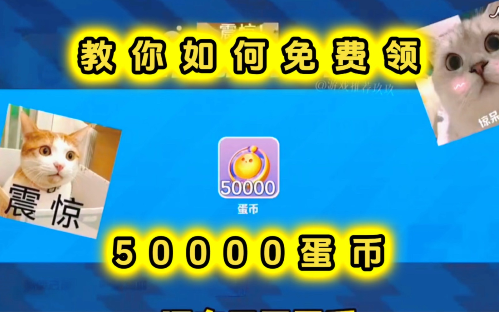 币蛋(币蛋coinegg还能登录吗)