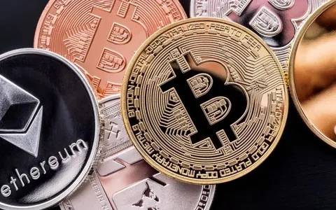 关于VBITEX的信息