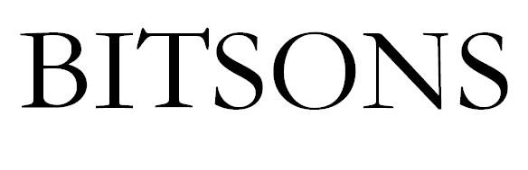 Bitso(BITSOUND音响)