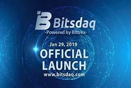 Bitsdaq(bits的特殊含义)