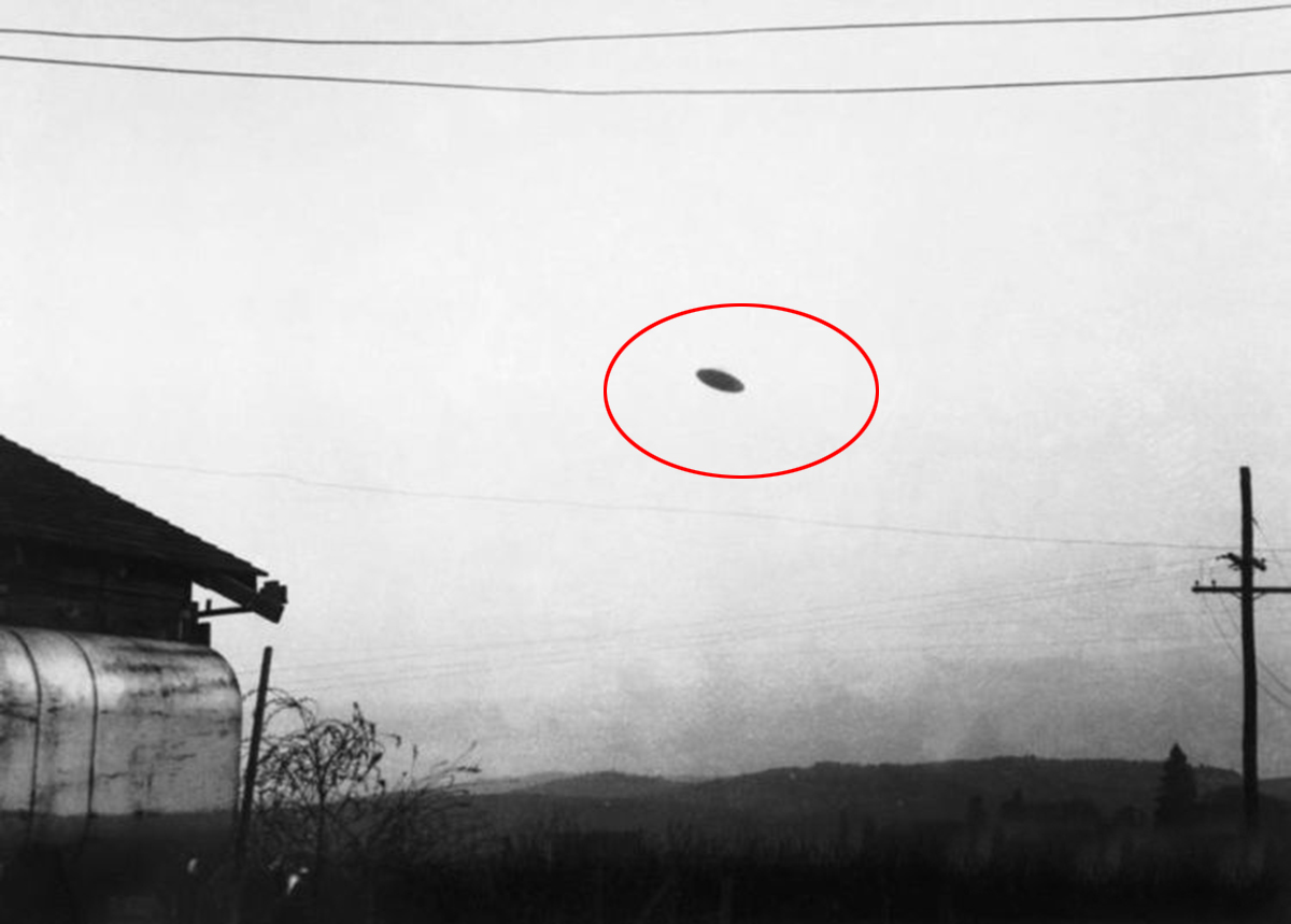 UFO(ufo事件真实外星人视频)