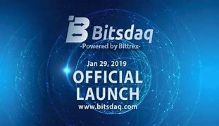Bitsdaq(bit所代表的是)