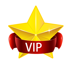 BIVIP(比vip更高级的称呼)