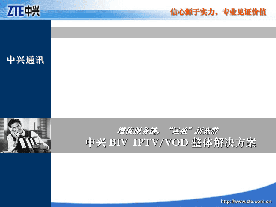 BIVIP(比vip更高级的称呼)