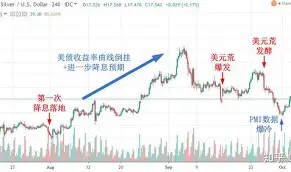 美源星贵金属(美源金业贵金属公司)