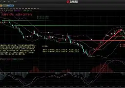 美源星贵金属(上海丰源兴贵金属有限公司)