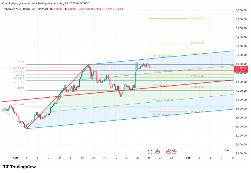 以太坊最新价格(比特币以太坊最新价格)