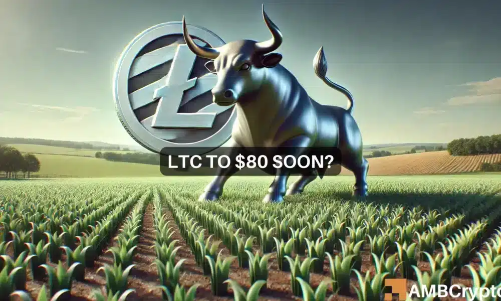 LTC-莱特币(莱特币litecoin) LTC-莱特币(莱特币litecoin)