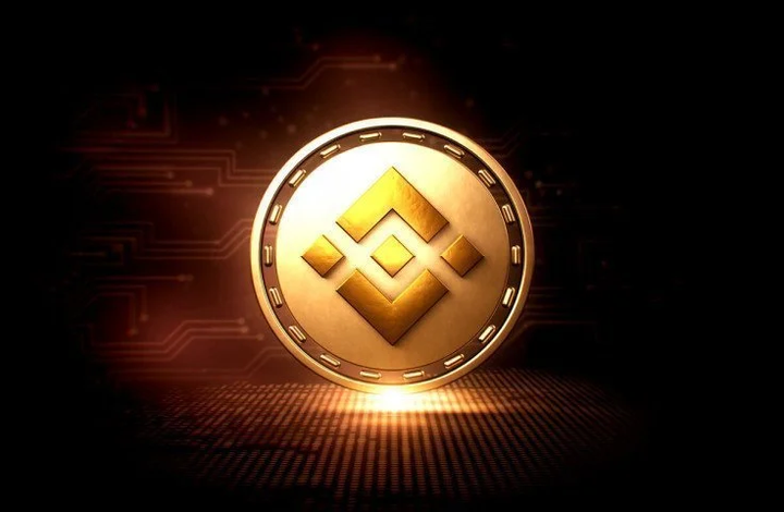 BNB-币安币(bnb是什么币是骗局吗)