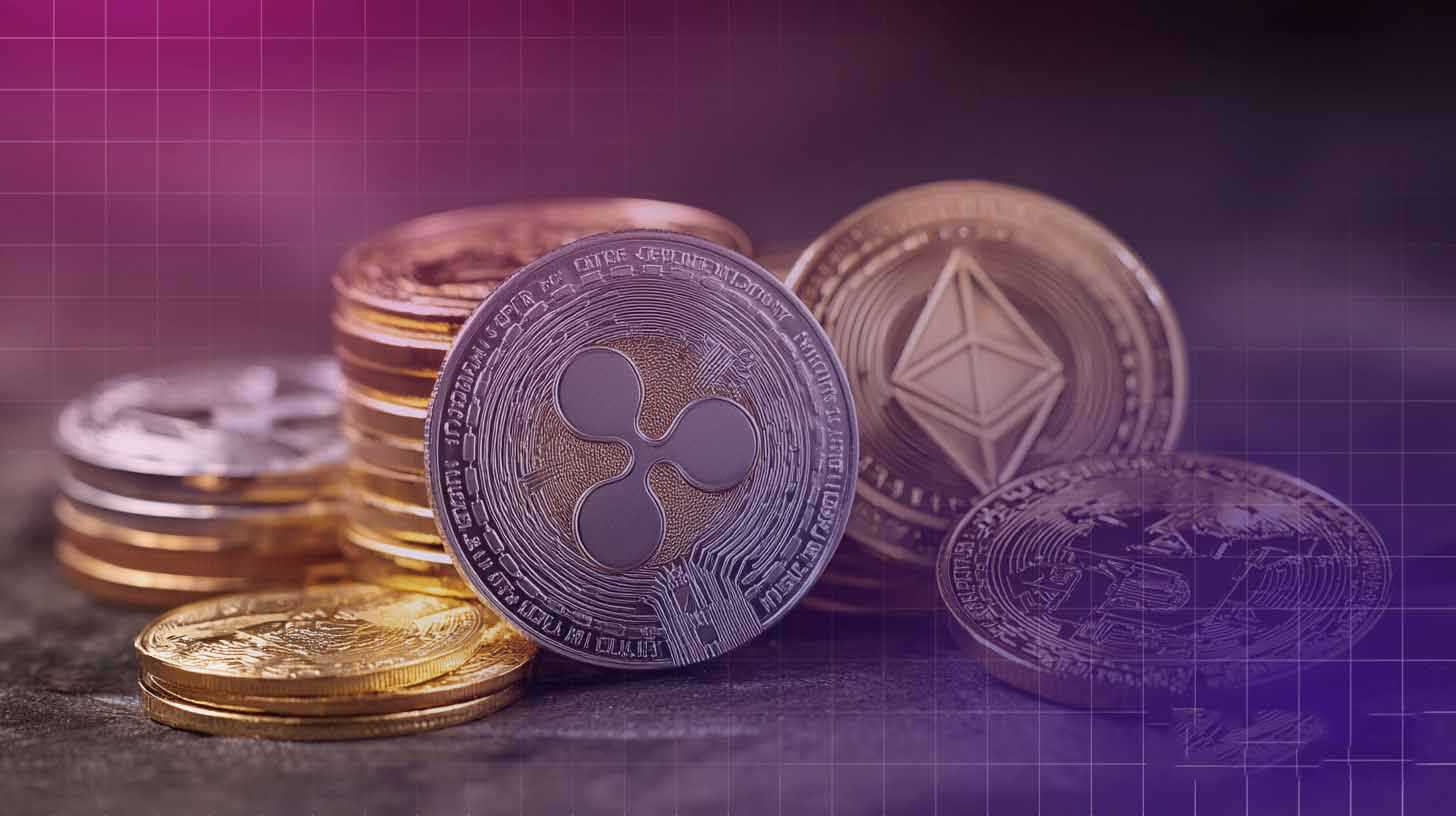 瑞波币交易(瑞波币交易新手速成课移动双端下载地址cc)