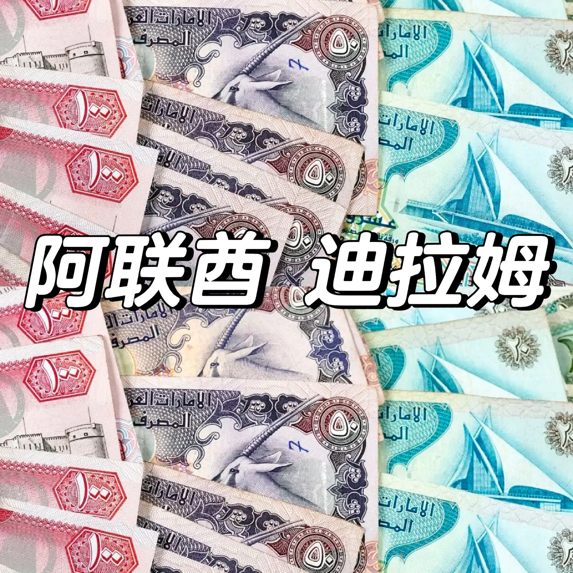 艾达币(艾达币英文缩写)