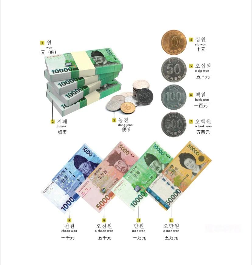 货币关系(货币关系排挤了人身关系是什么意思)