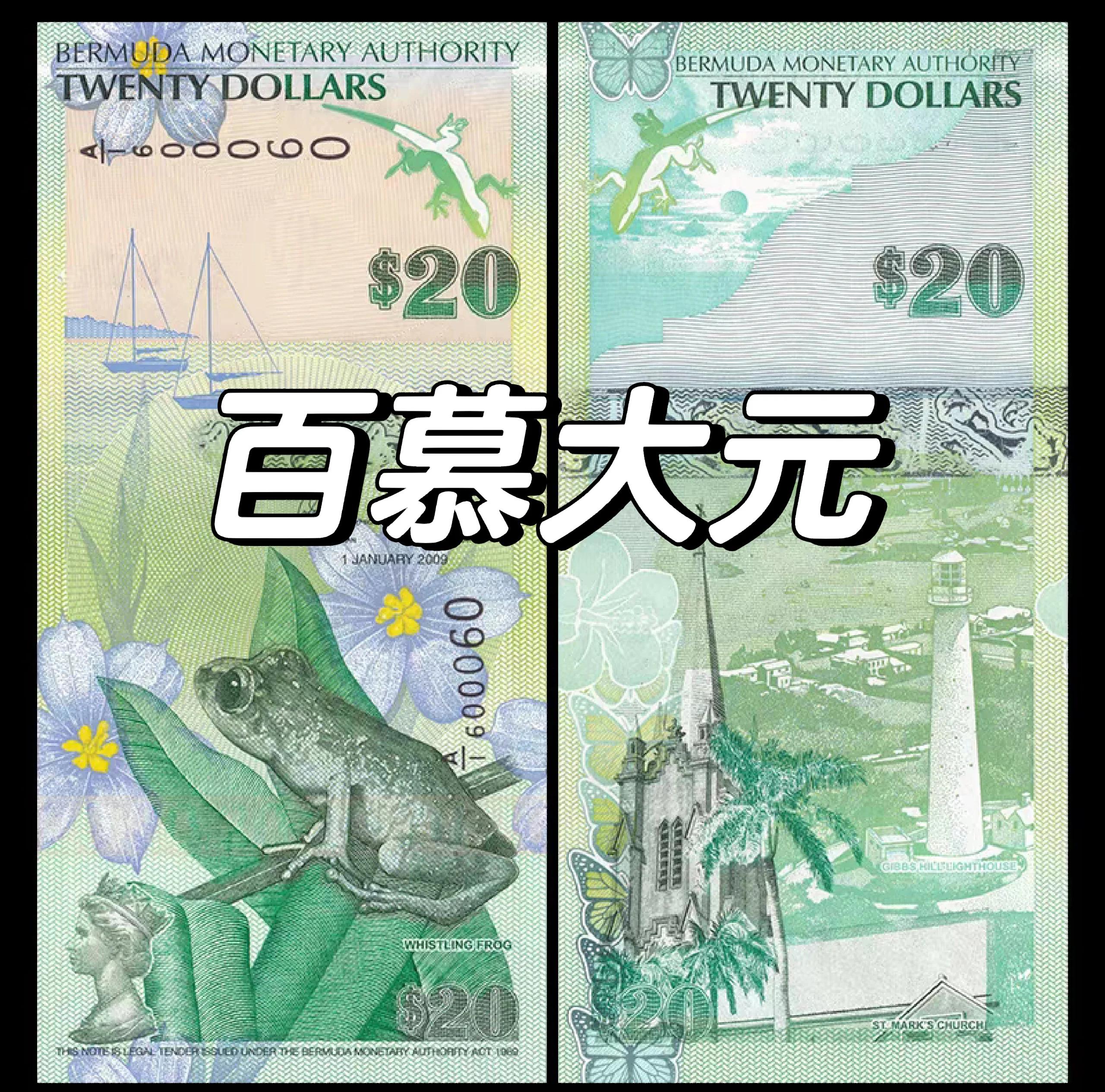 货币知识(反假货币知识)