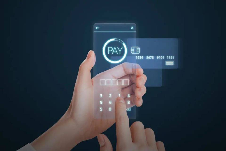 支付货币(第二大支付货币)