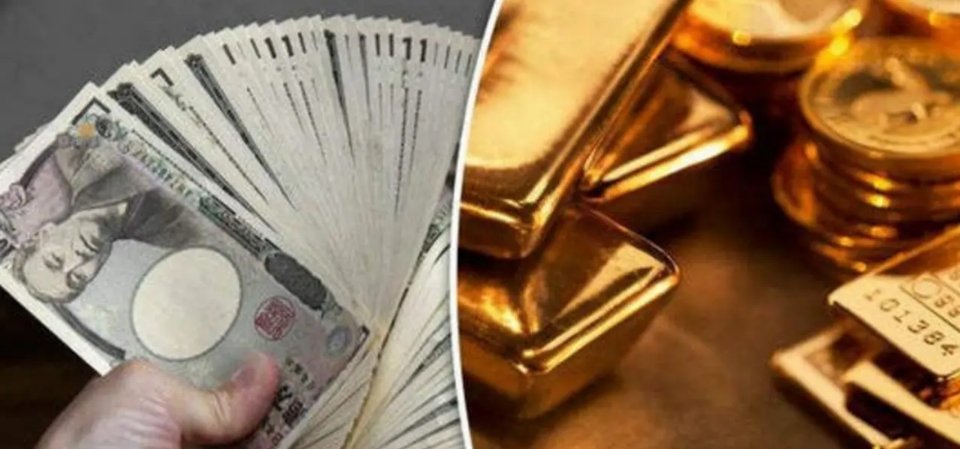 风险货币(风险货币和商品货币区别)