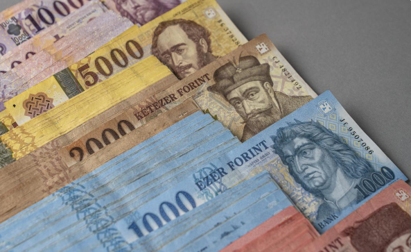 外汇货币(外汇货币交易量排行榜)