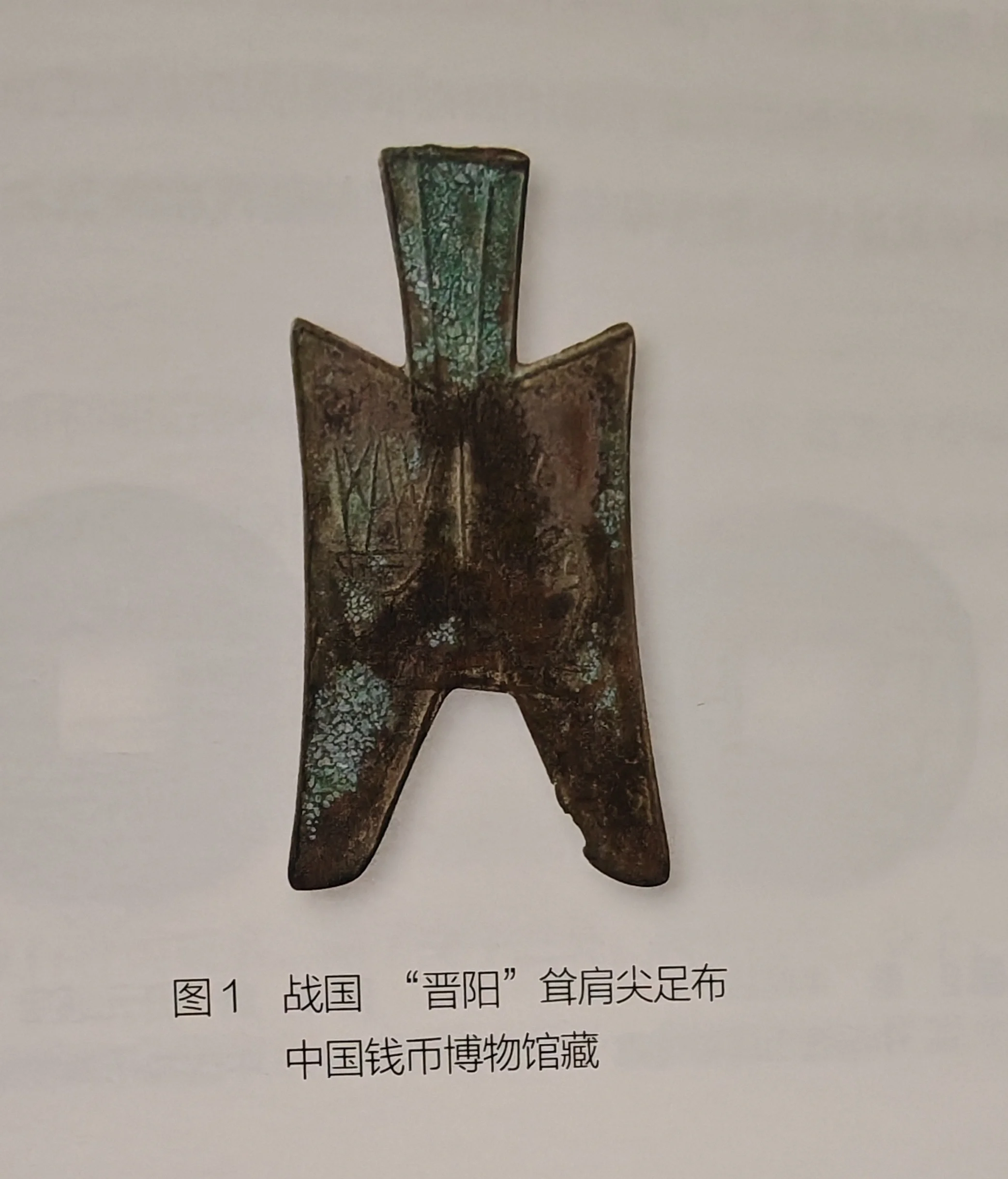 货币历史(货币历史学)