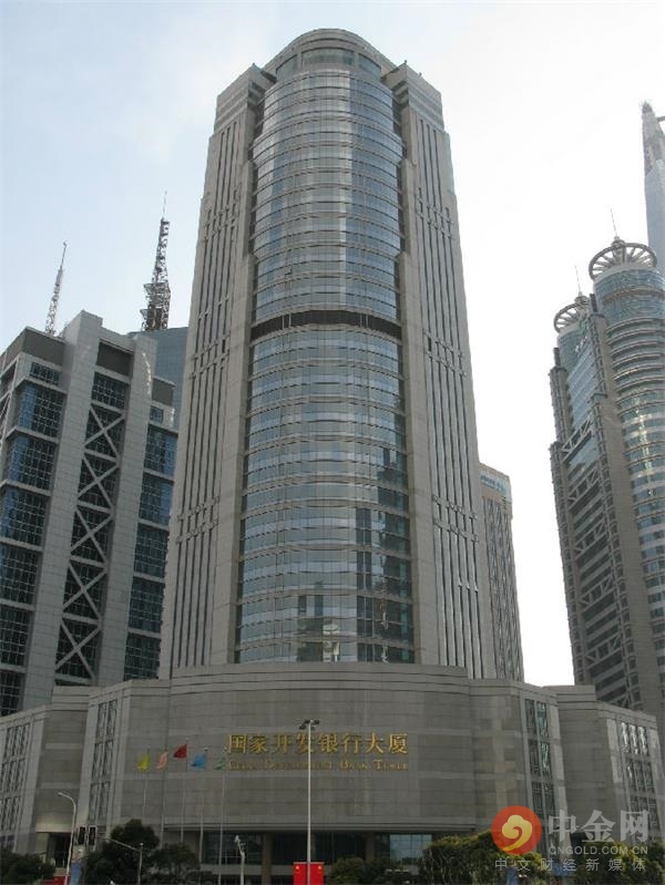 国开发展基金有限公司(国开发展基金有限公司是什么性质的公司)