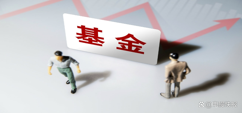 博道基金(博道基金实力)