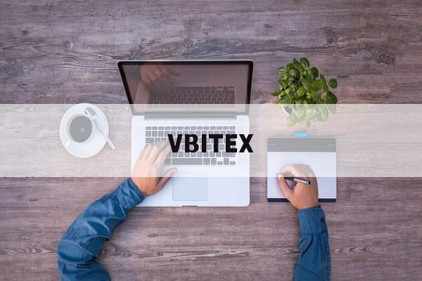 VBITEX(vb精简版下载)