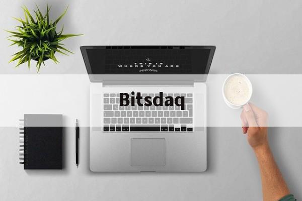 Bitsdaq(bits服务已停止)